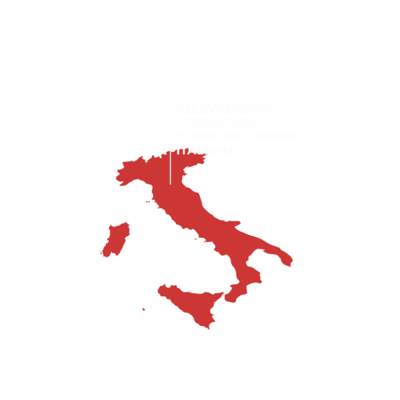 allevamento famiglia fornaciari carne pezzata rossa italiana